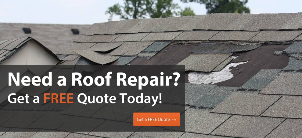 Do You Need Roof Repair?