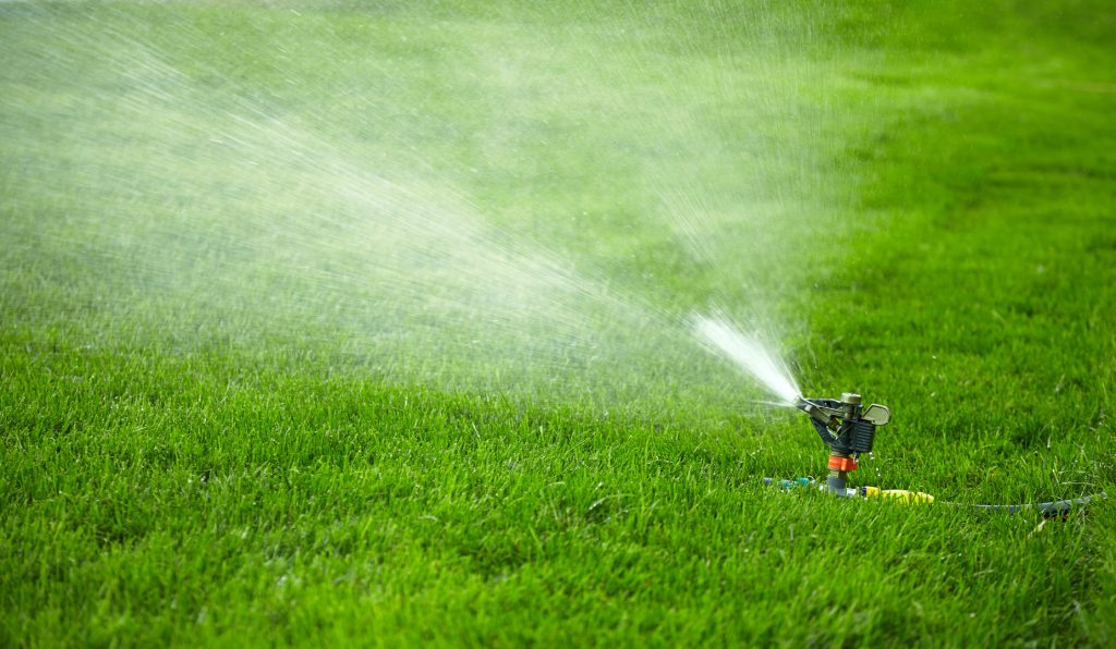 Watering Lawn